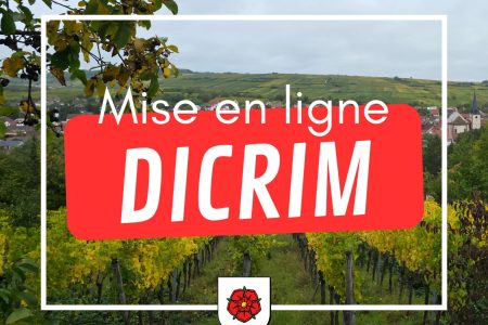 Image DICRIM